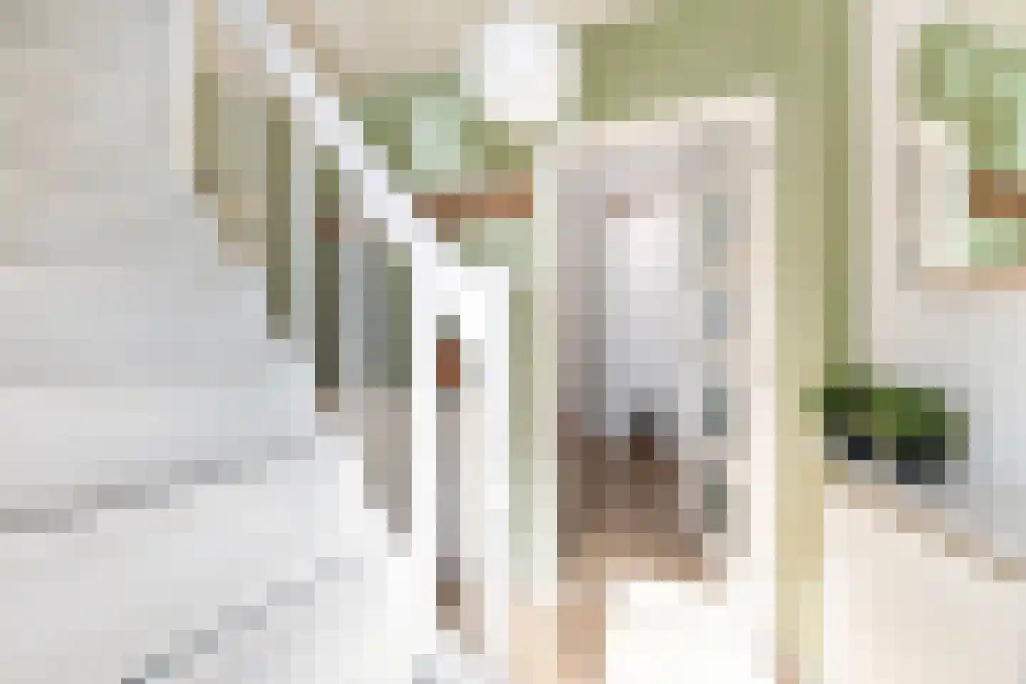 Dr. Plesmanstraat 16 Hurdegaryp thumbnail 18