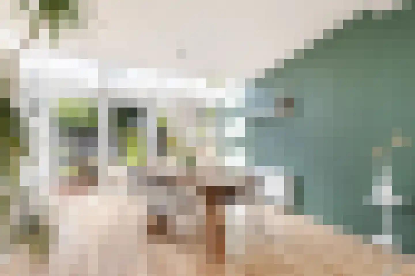 Dr. Plesmanstraat 16 Hurdegaryp thumbnail 28
