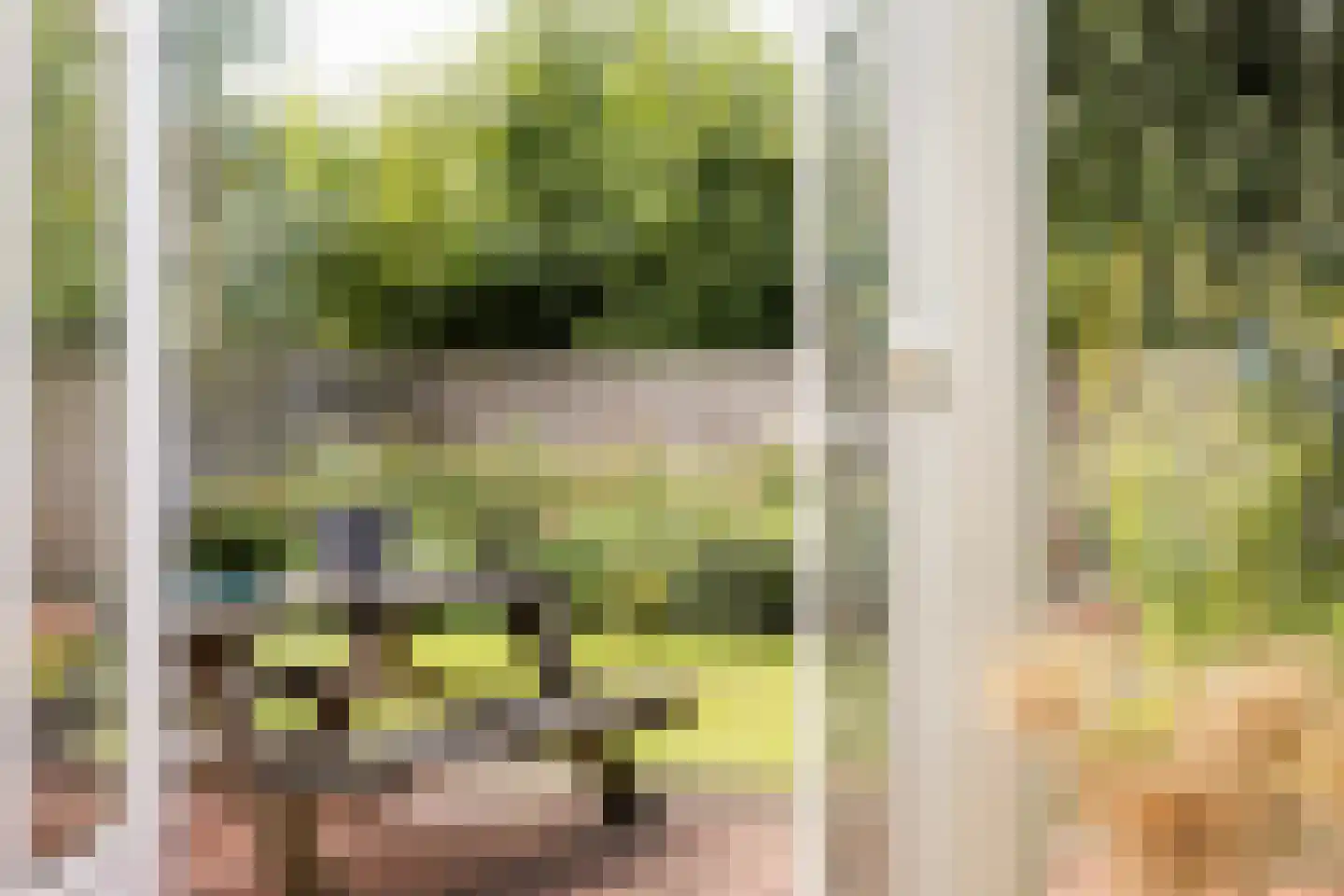 Dr. Plesmanstraat 16 Hurdegaryp thumbnail 30