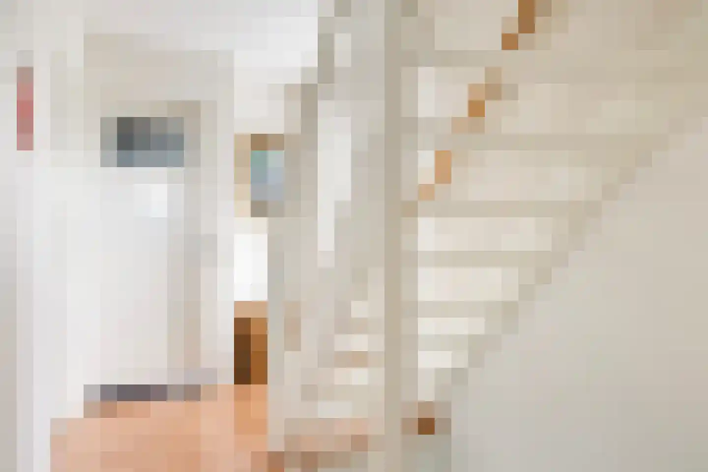 Dr. Plesmanstraat 16 Hurdegaryp thumbnail 33