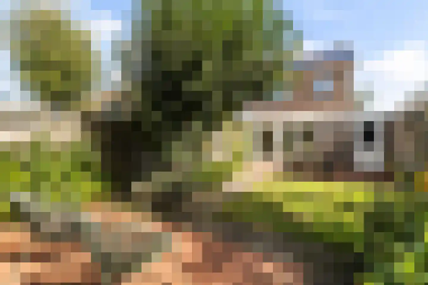 Dr. Plesmanstraat 16 Hurdegaryp thumbnail 4