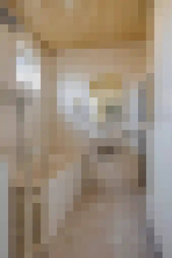 Dr. Plesmanstraat 2 A Hurdegaryp thumbnail 17