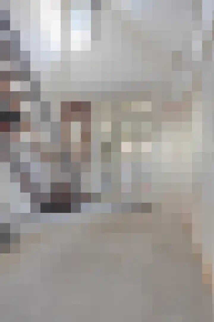 Dr. Plesmanstraat 2 A Hurdegaryp thumbnail 20