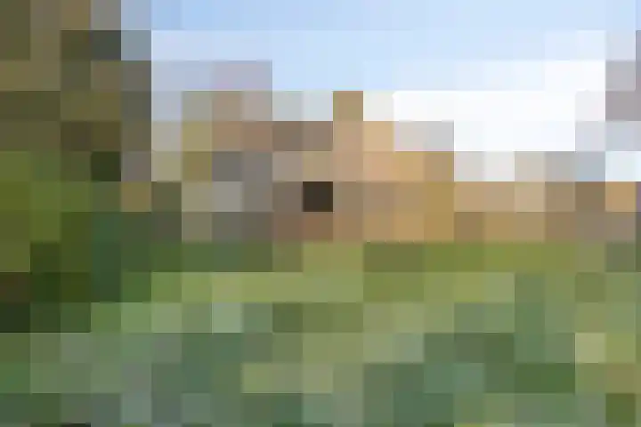 Dr. Plesmanstraat 2 A Hurdegaryp thumbnail 29