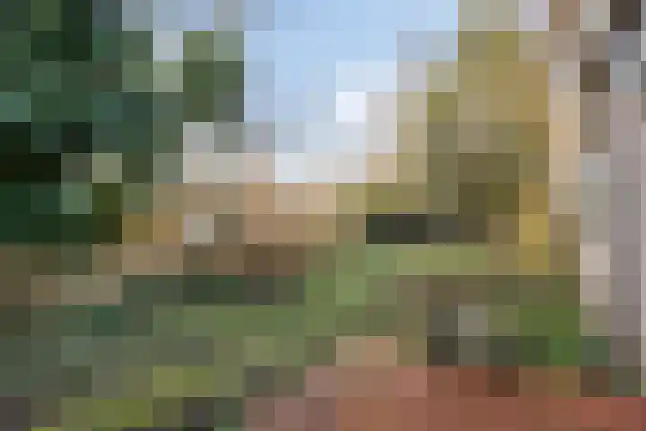 Dr. Plesmanstraat 2 A Hurdegaryp thumbnail 30