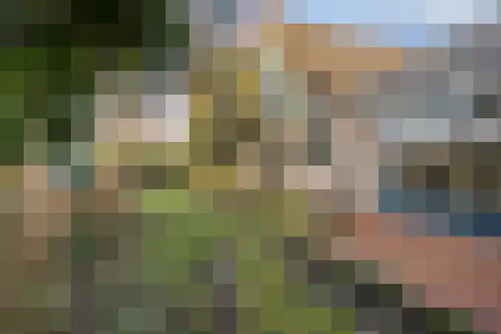 Dr. Plesmanstraat 2 A Hurdegaryp thumbnail 31