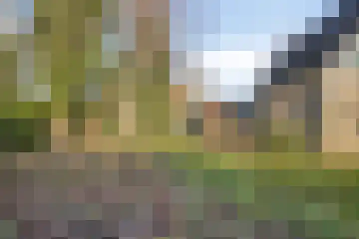 Dr. Plesmanstraat 2 A Hurdegaryp thumbnail 33
