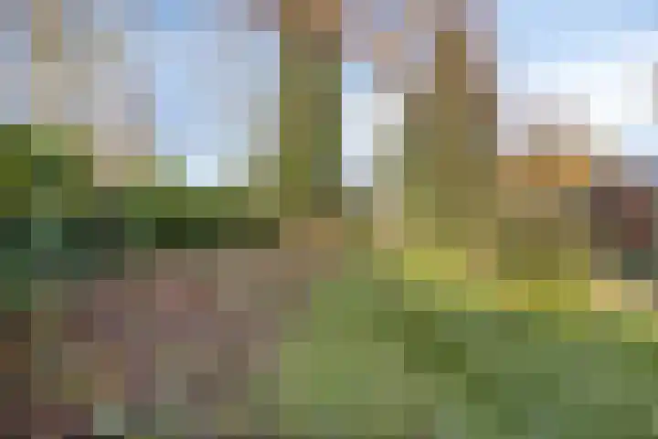 Dr. Plesmanstraat 2 A Hurdegaryp thumbnail 35