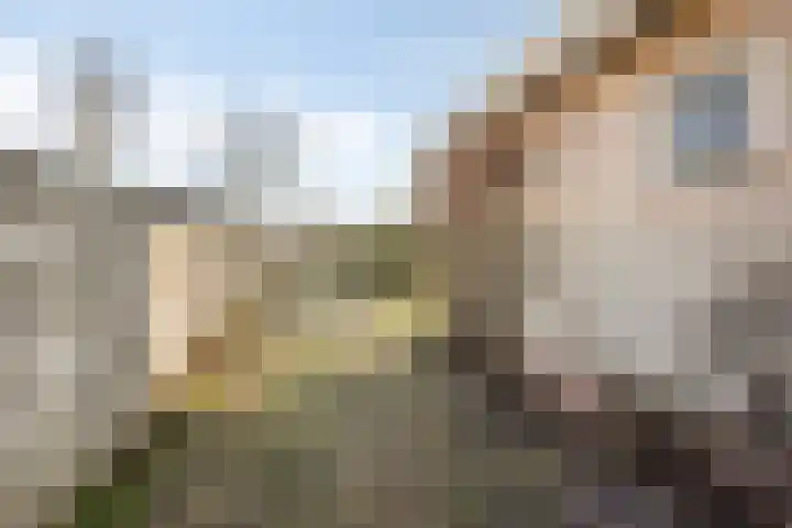 Dr. Plesmanstraat 2 A Hurdegaryp thumbnail 38
