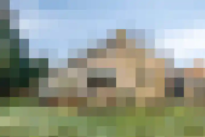 Dr. Plesmanstraat 2 A Hurdegaryp thumbnail 39