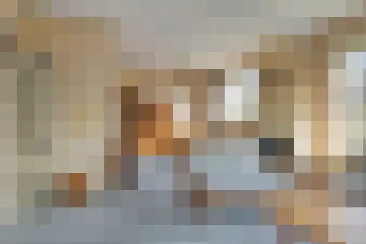 Dr. Plesmanstraat 2 A Hurdegaryp thumbnail 8