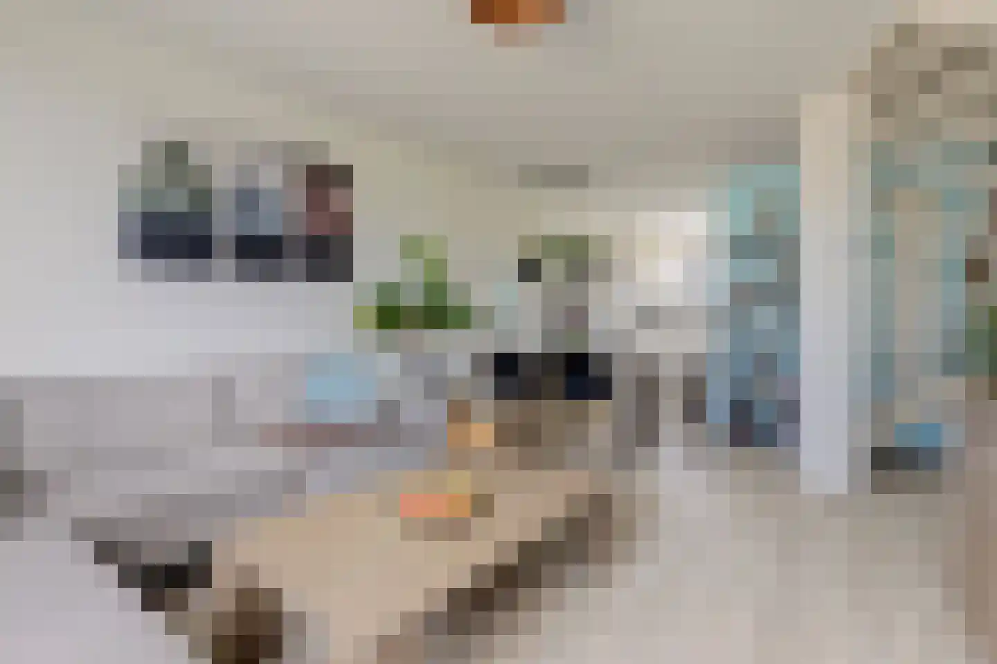 Dr. Plesmanstraat 28 Zwijndrecht thumbnail 8