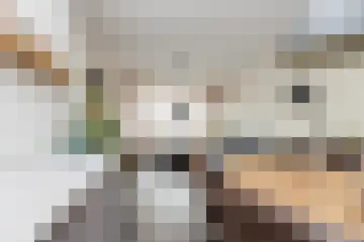 Dr. Plesmanstraat 43 Zwijndrecht thumbnail 8