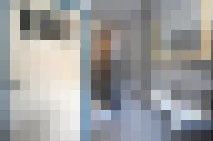 Dr. Poelslaan 1 Sittard thumbnail 37