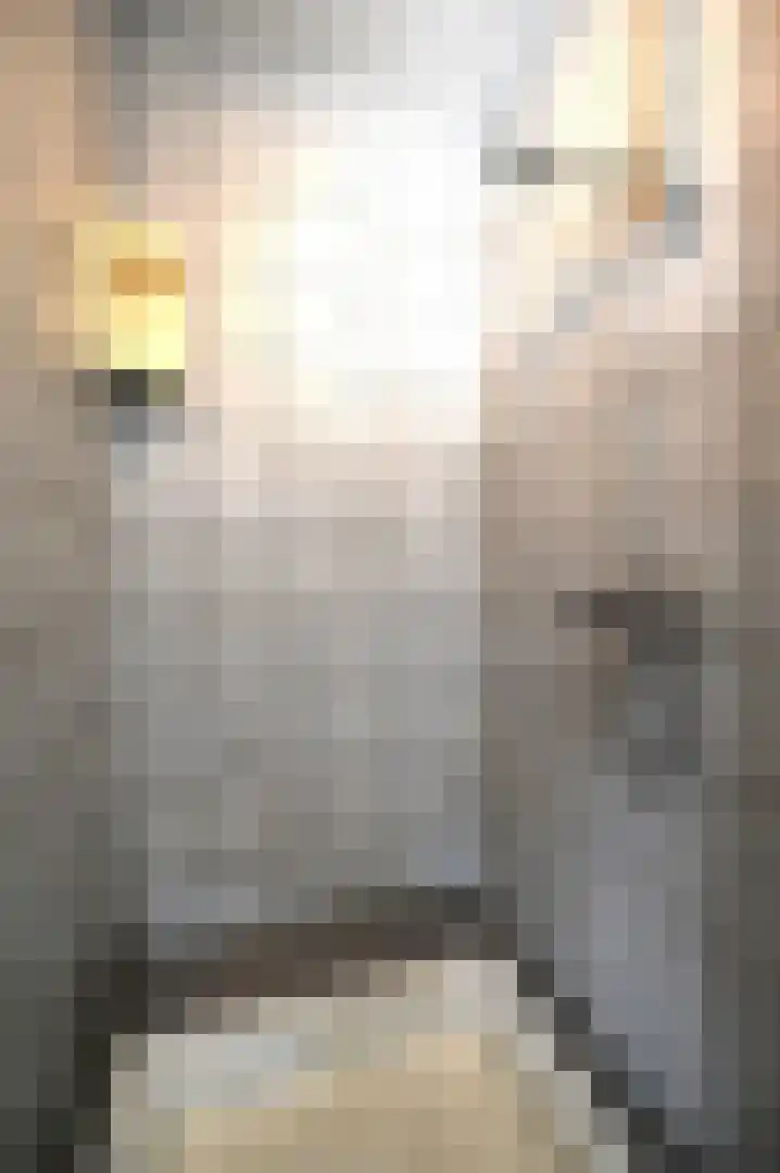 Dr. Poelslaan 1 Sittard thumbnail 39