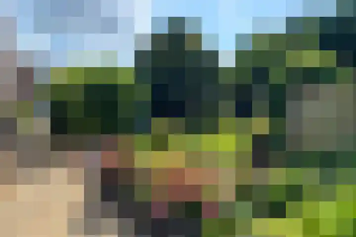 Dr. Poelslaan 1 Sittard thumbnail 51