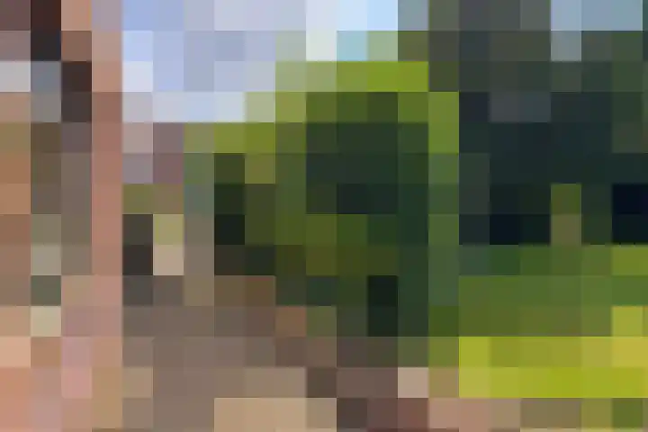 Dr. Poelslaan 1 Sittard thumbnail 52