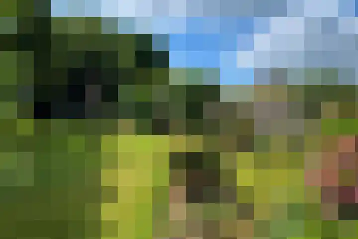 Dr. Poelslaan 1 Sittard thumbnail 53
