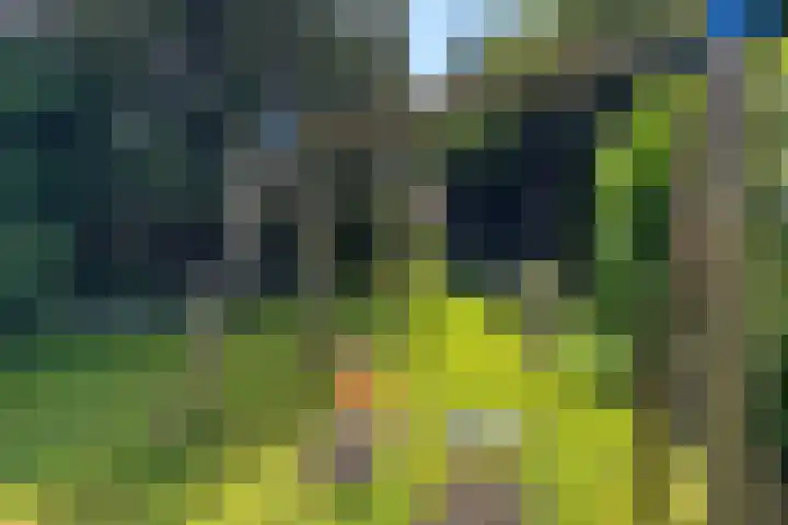 Dr. Poelslaan 1 Sittard thumbnail 54