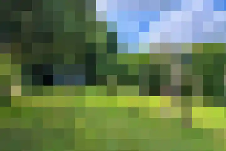 Dr. Poelslaan 1 Sittard thumbnail 55
