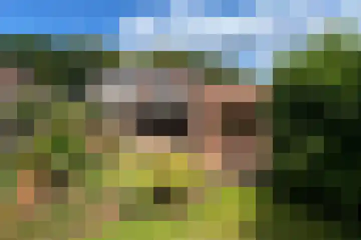 Dr. Poelslaan 1 Sittard thumbnail 56