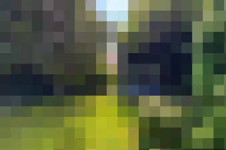 Dr. Poelslaan 1 Sittard thumbnail 57