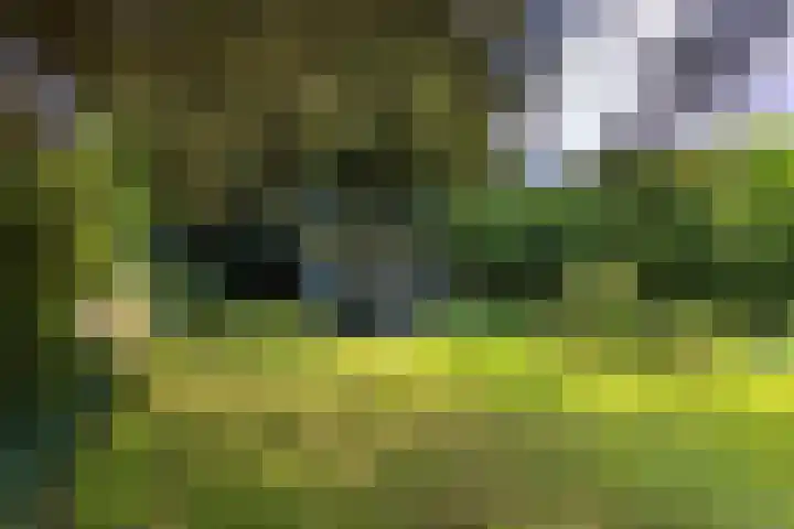 Dr. Poelslaan 1 Sittard thumbnail 58
