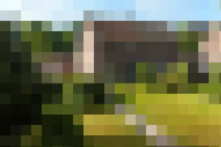 Dr. Poelslaan 1 Sittard thumbnail 6