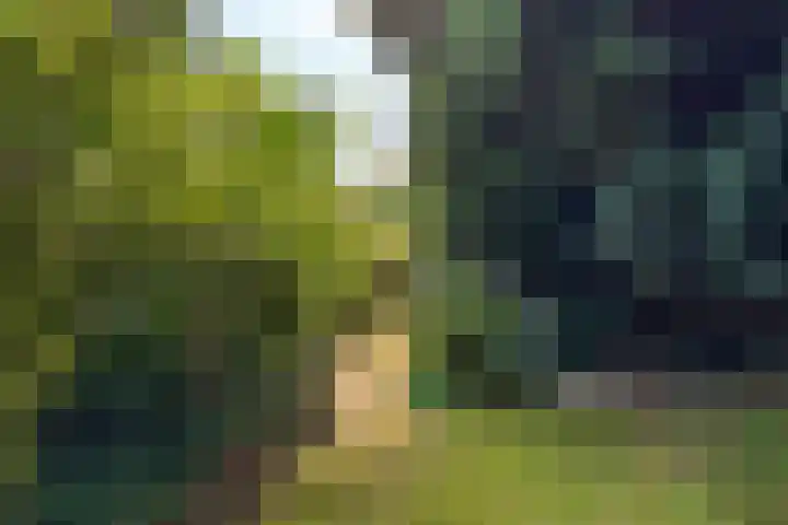 Dr. Poelslaan 1 Sittard thumbnail 61