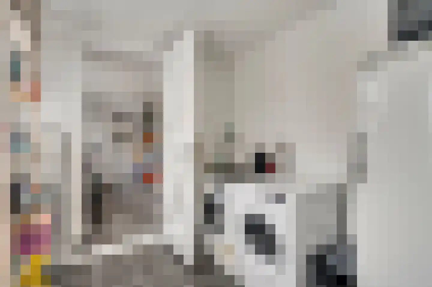 Dr. Poelslaan 12 Geleen thumbnail 13