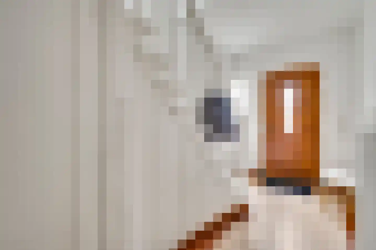 Dr. Poelslaan 12 Geleen thumbnail 17
