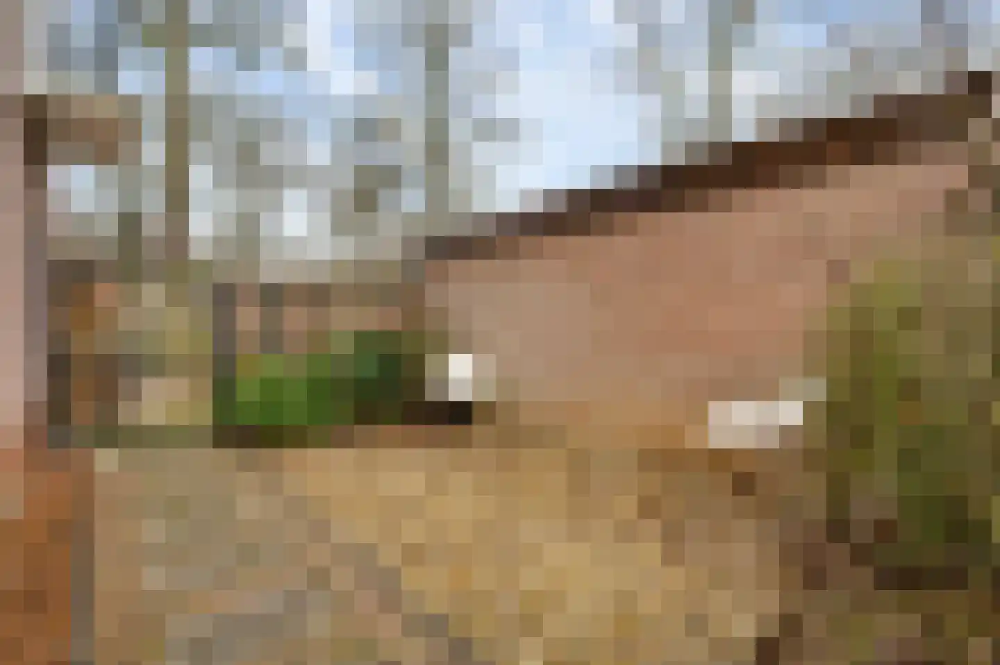 Dr. Poelslaan 12 Geleen thumbnail 38