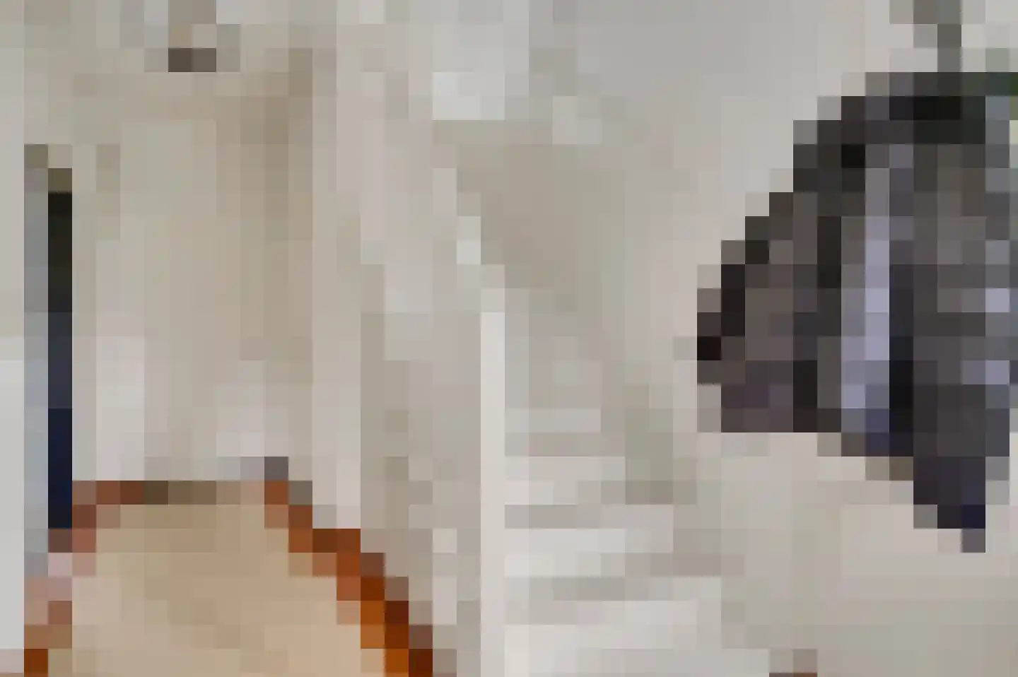 Dr. Poelslaan 12 Geleen thumbnail 6