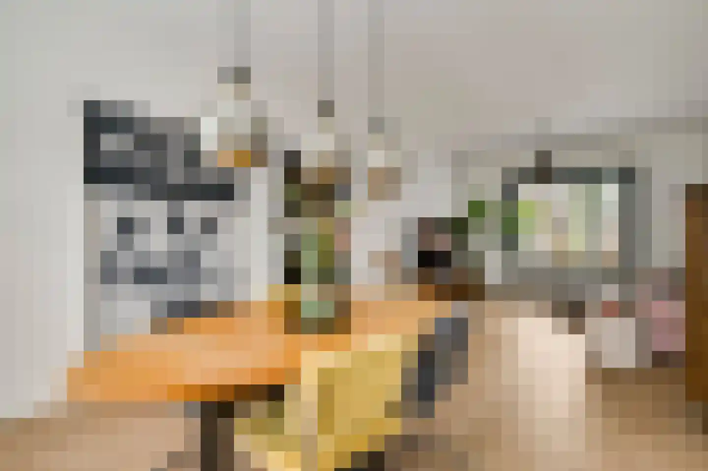 Dr. Poelslaan 12 Geleen thumbnail 7