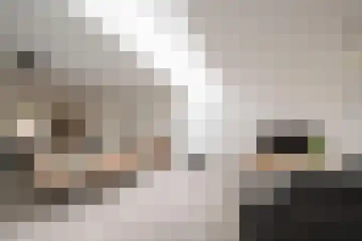 Dr. Poelslaan 39 Sittard thumbnail 15