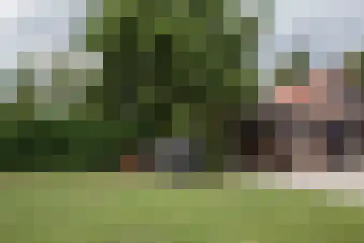Dr. Poelslaan 39 Sittard thumbnail 30