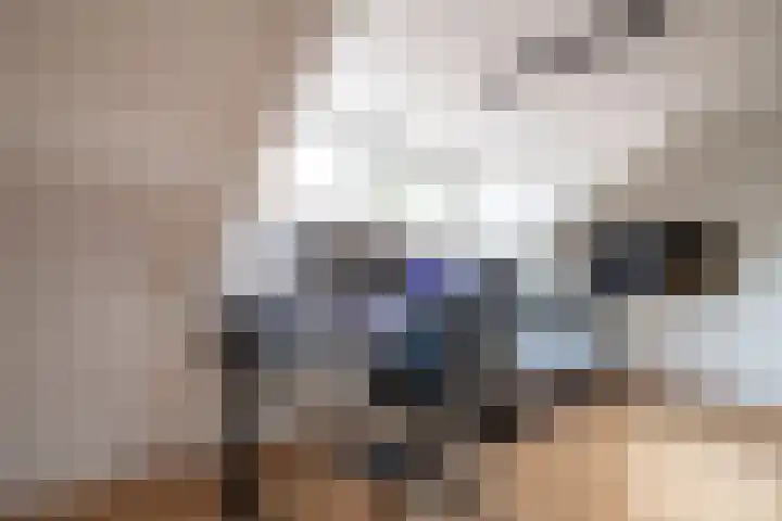 Dr. Poelslaan 39 Sittard thumbnail 37