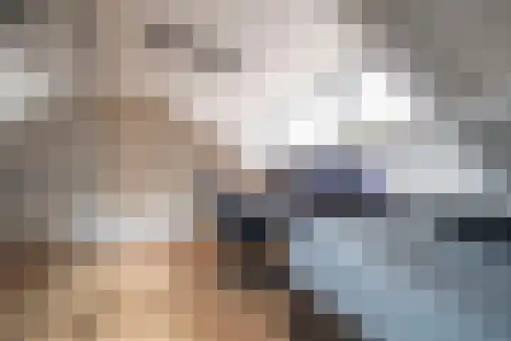 Dr. Poelslaan 39 Sittard thumbnail 38