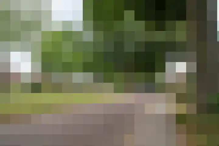Dr. Poelslaan 39 Sittard thumbnail 5