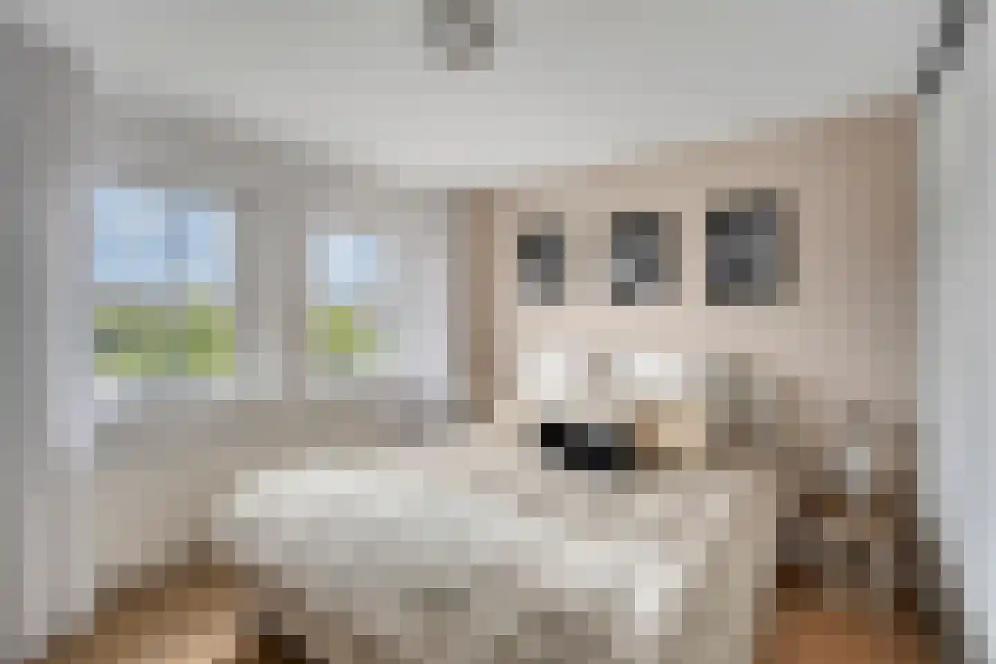 Dr. Poelslaan 4 Sittard thumbnail 20