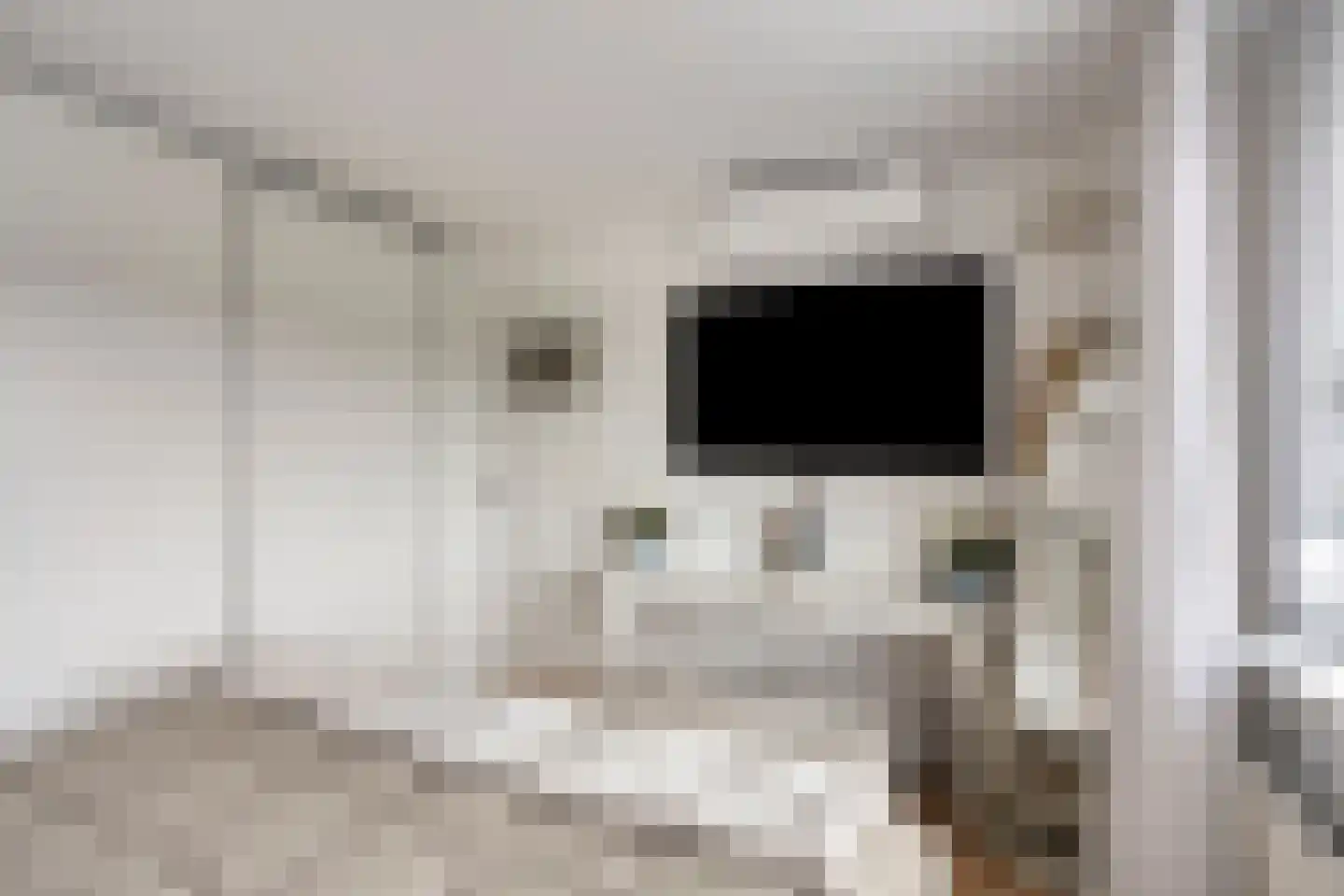 Dr. Poelslaan 4 Sittard thumbnail 21