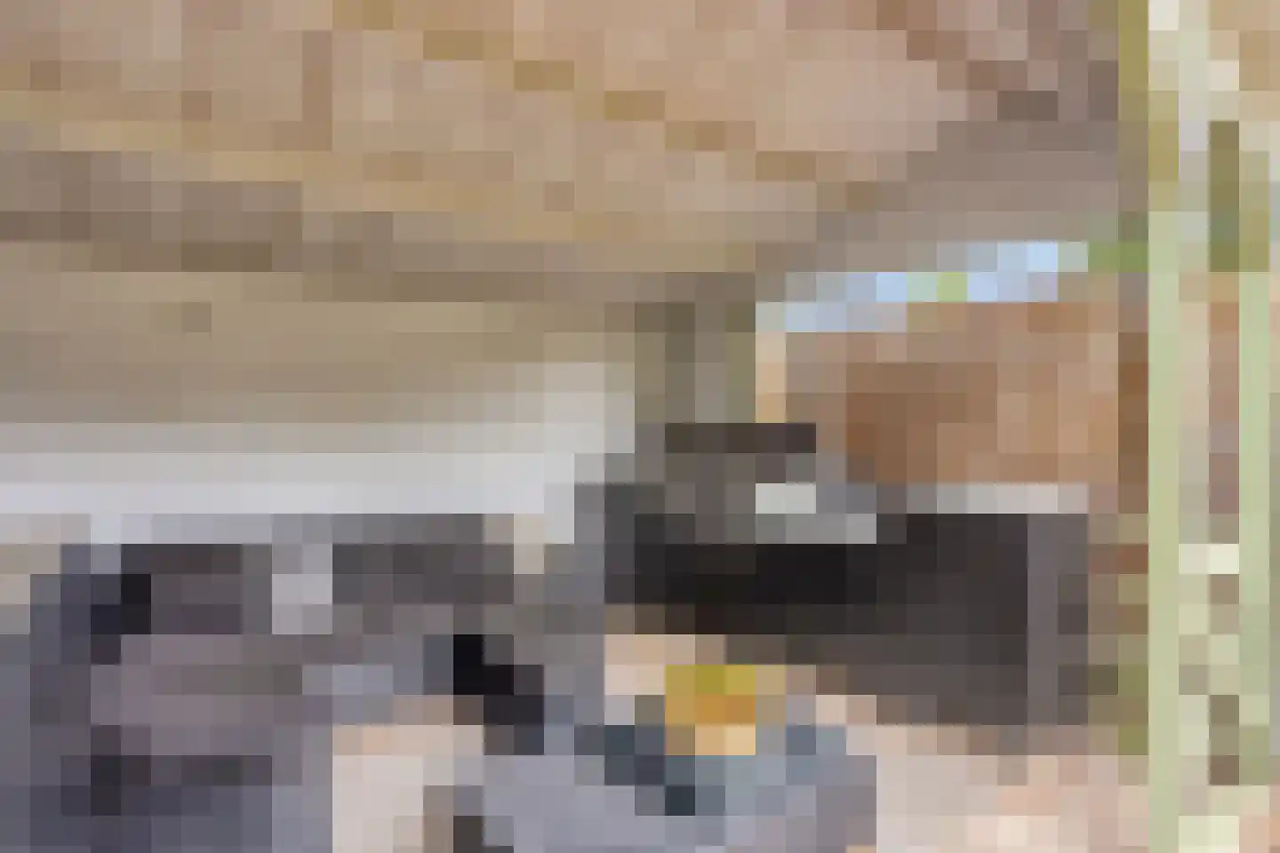 Dr. Poelslaan 4 Sittard thumbnail 33