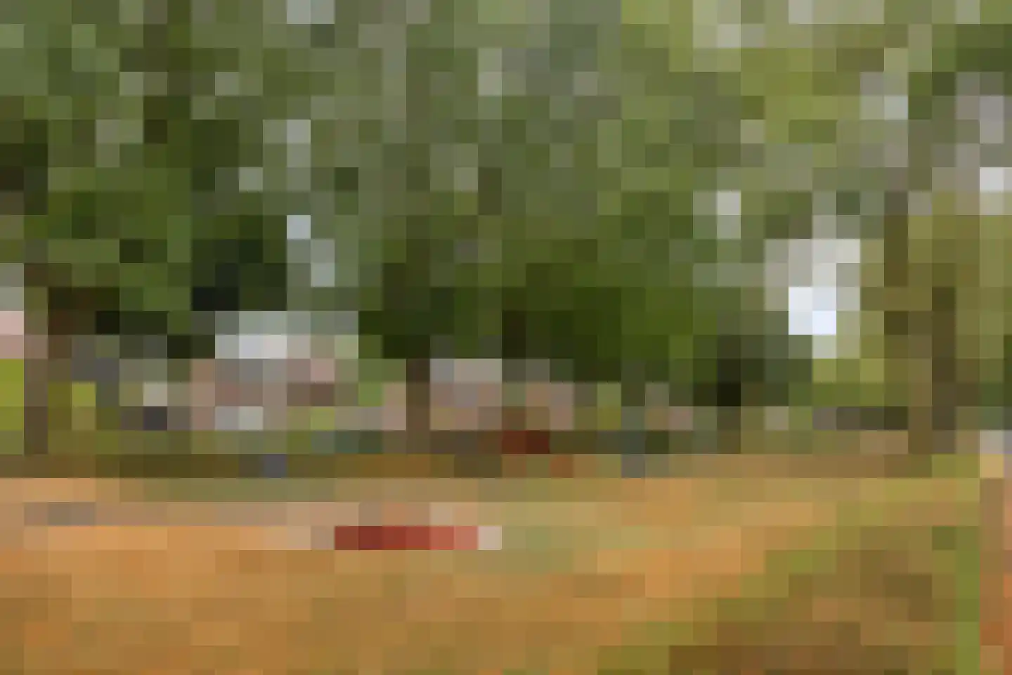 Dr. Poelslaan 4 Sittard thumbnail 37
