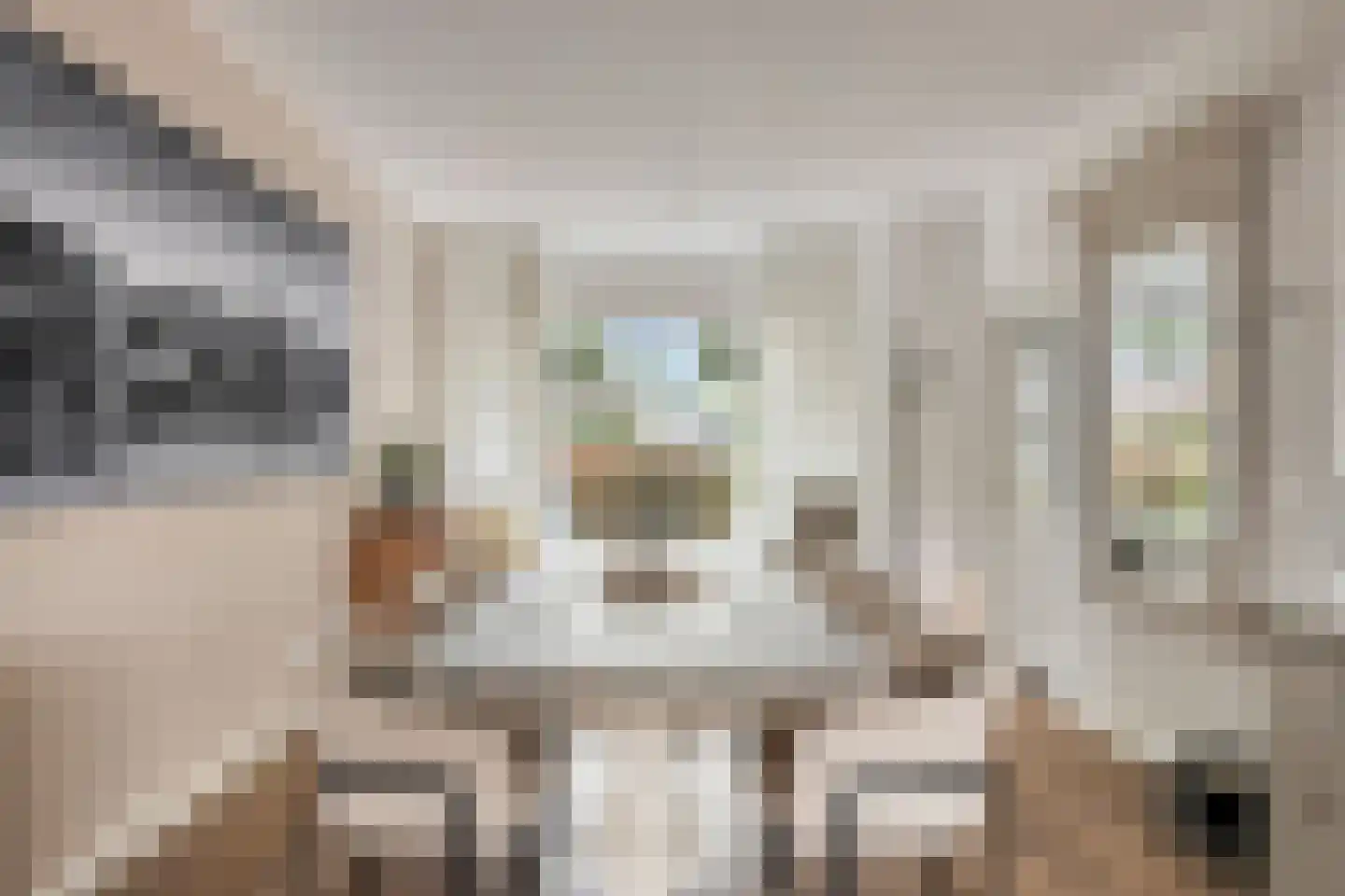 Dr. Poelslaan 4 Sittard thumbnail 8