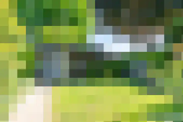 Dr. Poelslaan 46 Sittard thumbnail 21