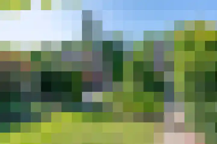 Dr. Poelslaan 46 Sittard thumbnail 22