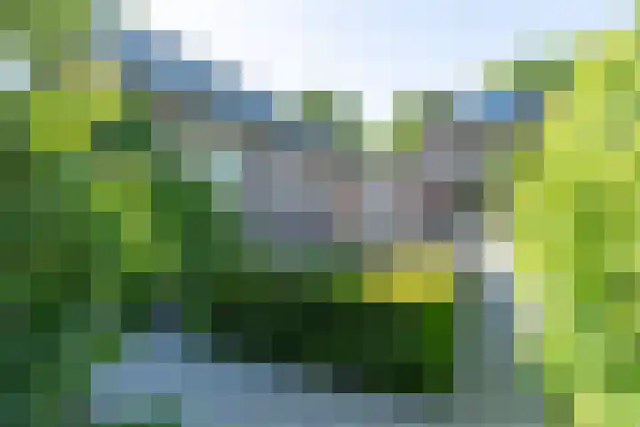 Dr. Poelslaan 46 Sittard thumbnail 23
