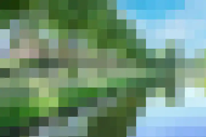 Dr Poelslaan 48 Rijswijk thumbnail 44