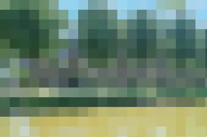 Dr Poelslaan 48 Rijswijk thumbnail 45