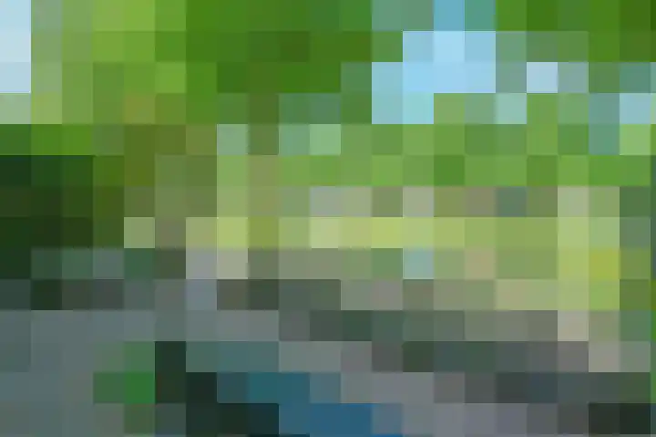 Dr Poelslaan 48 Rijswijk thumbnail 8